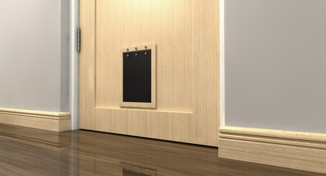 Cat Flap Installation Richmond, TW9, TW10